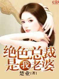 绝色总裁是我老婆 第18章